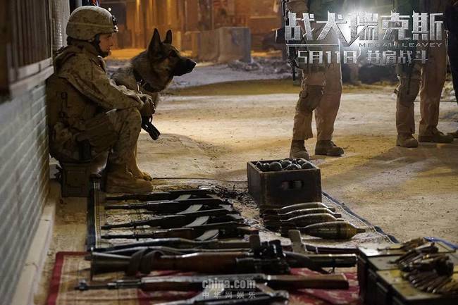 《战犬瑞克斯》公映 真情演绎战争版人狗情未了