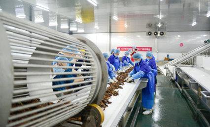 每日优鲜小龙虾节正式开启 爆料麻小1.5元\/只起