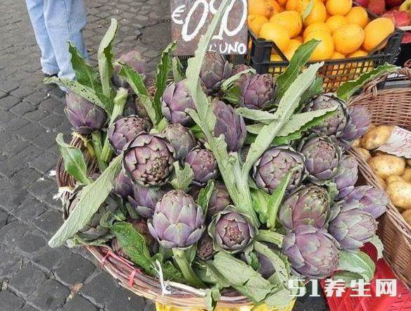 洋蓟 洋蓟