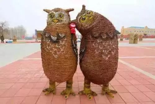 【醉美行走】观乡间稻田,品夏日稻香。泰来插