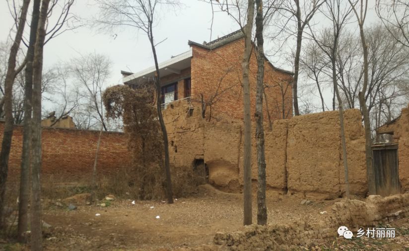 02陕西省咸阳市乾县临平镇马里村大白杨树,被当地村民奉为神树,俨然已