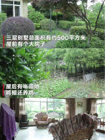 文章配图