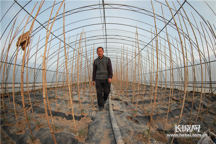 人口地建大棚_大棚地(2)