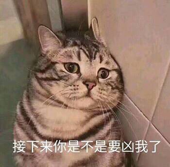 4F0FBD577724614F9B95C10FDC057B5859FDAF4B_size17_w350_h344.jpeg