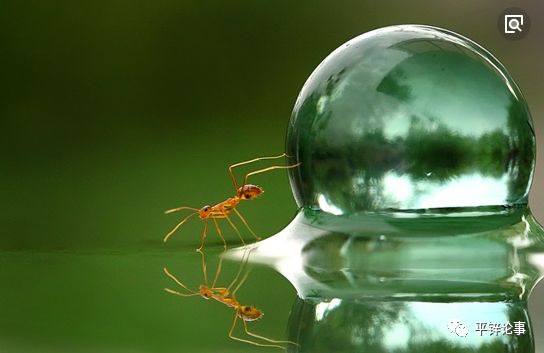 纯碱行业有望进入长景气周期 15只概念股吸金