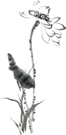 2018年税务稽查,不仅要查公司账户,更会重点稽