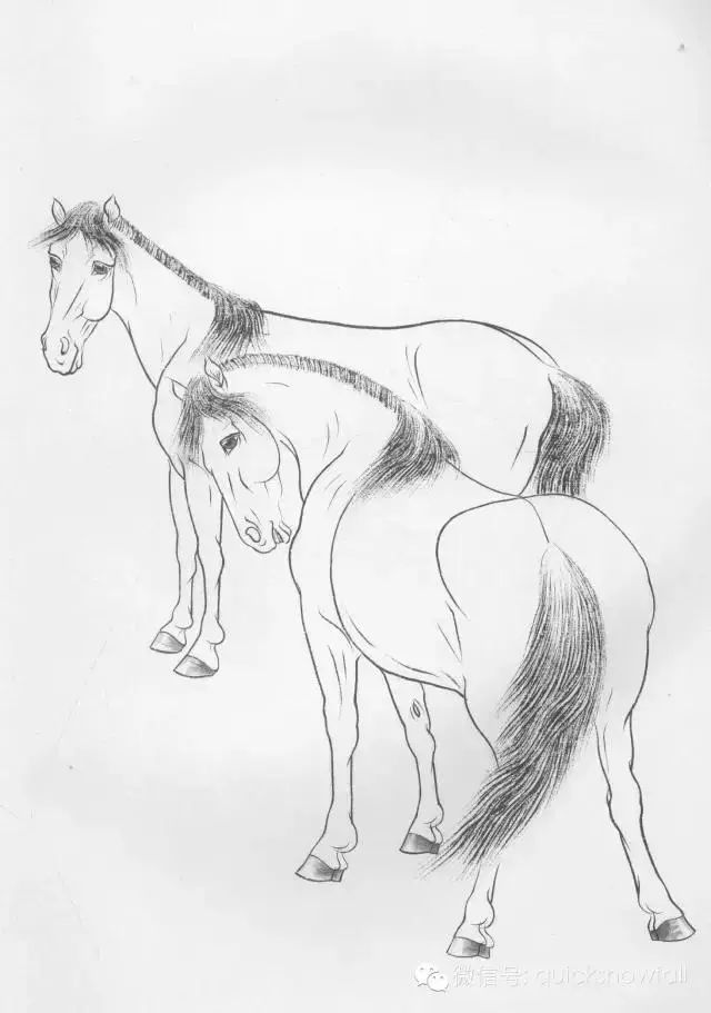 工笔马的画法及线描骏马