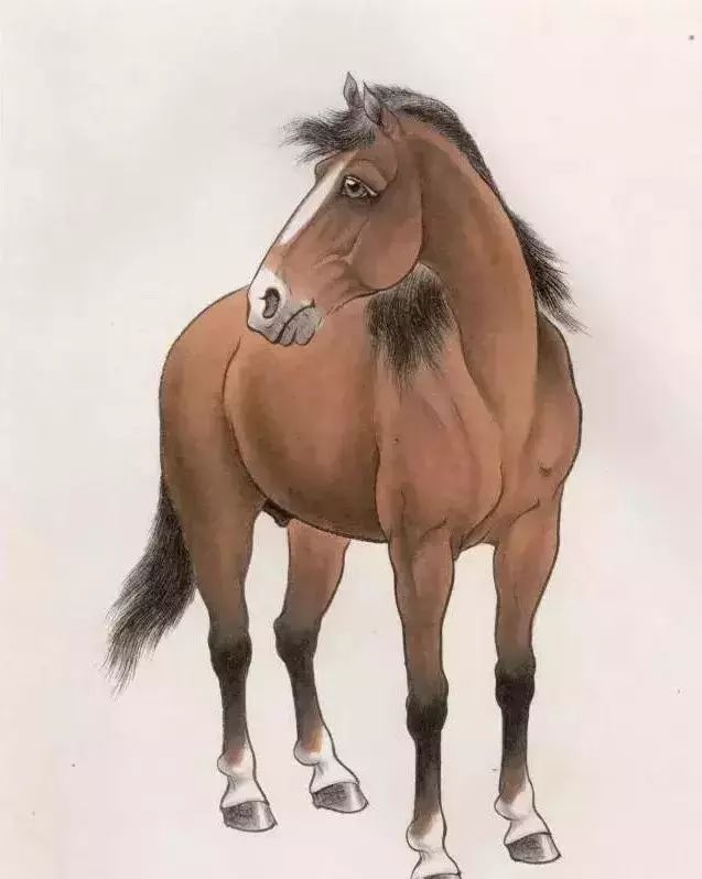 工笔马的画法及线描骏马