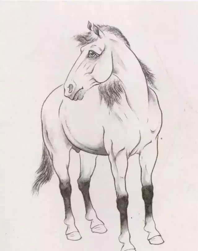 工笔马的画法及线描骏马