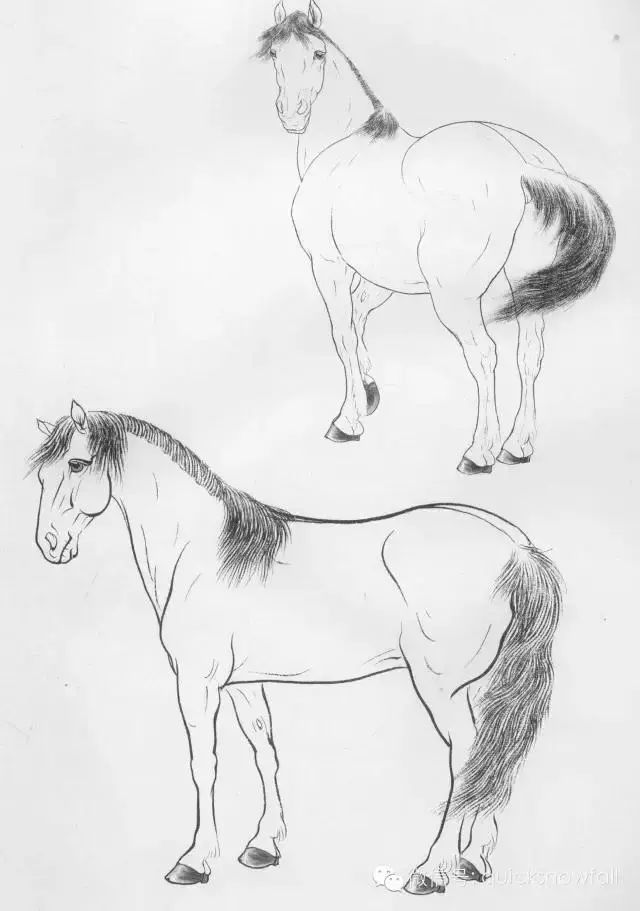 工笔马的画法及线描骏马