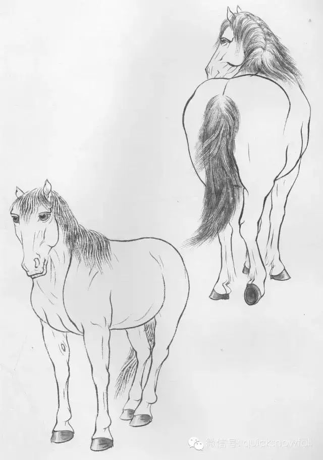 工笔马的画法及线描骏马