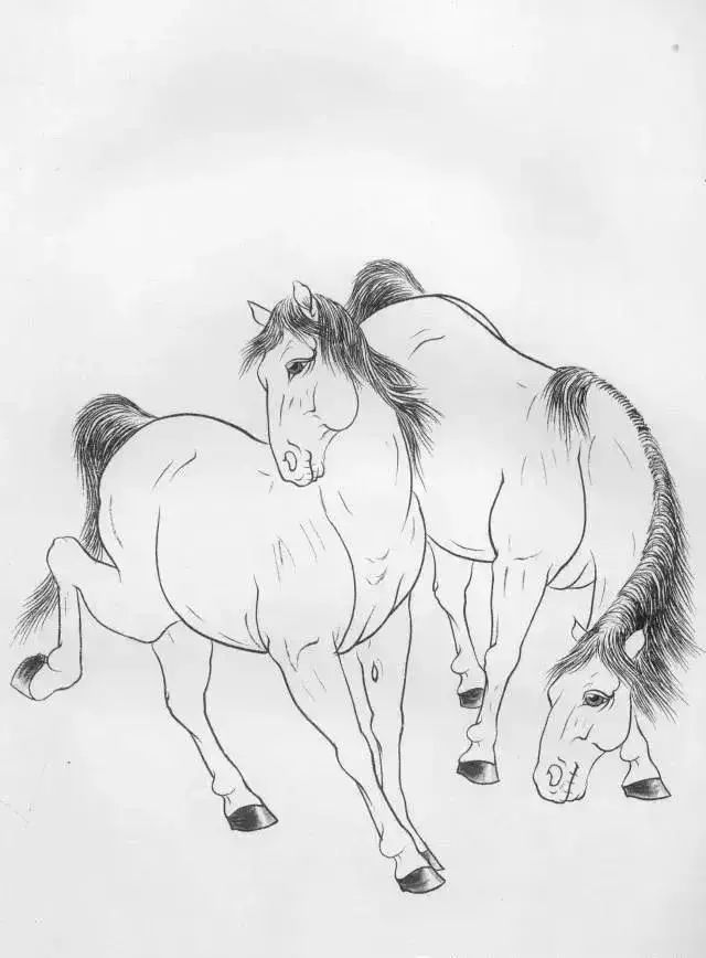 工笔马的画法及线描骏马