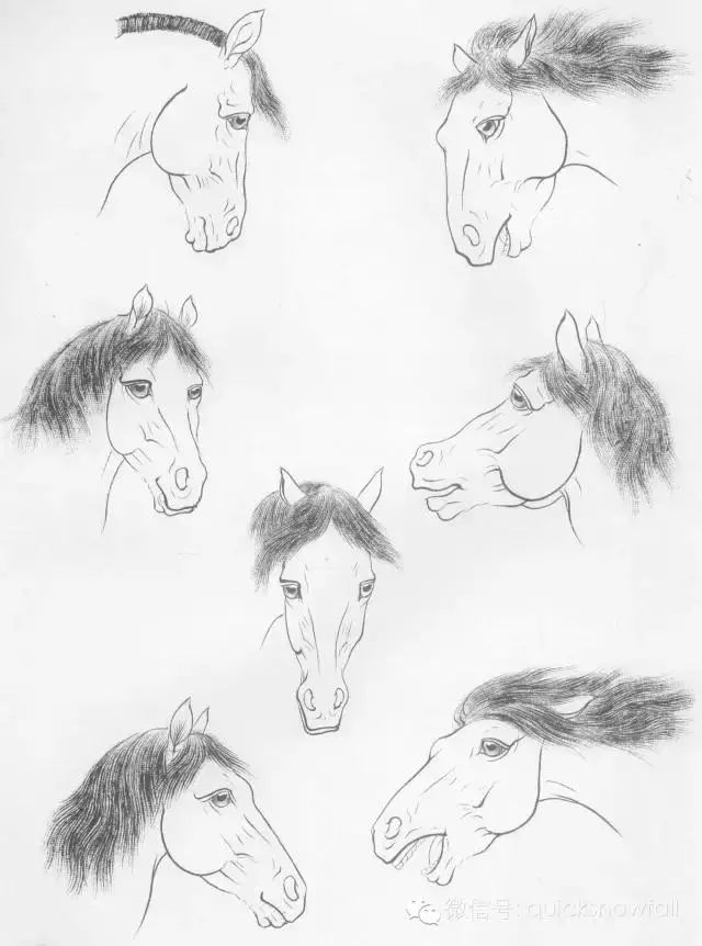 工笔马的画法及线描骏马