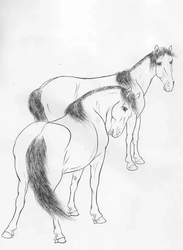 工笔马的画法及线描骏马