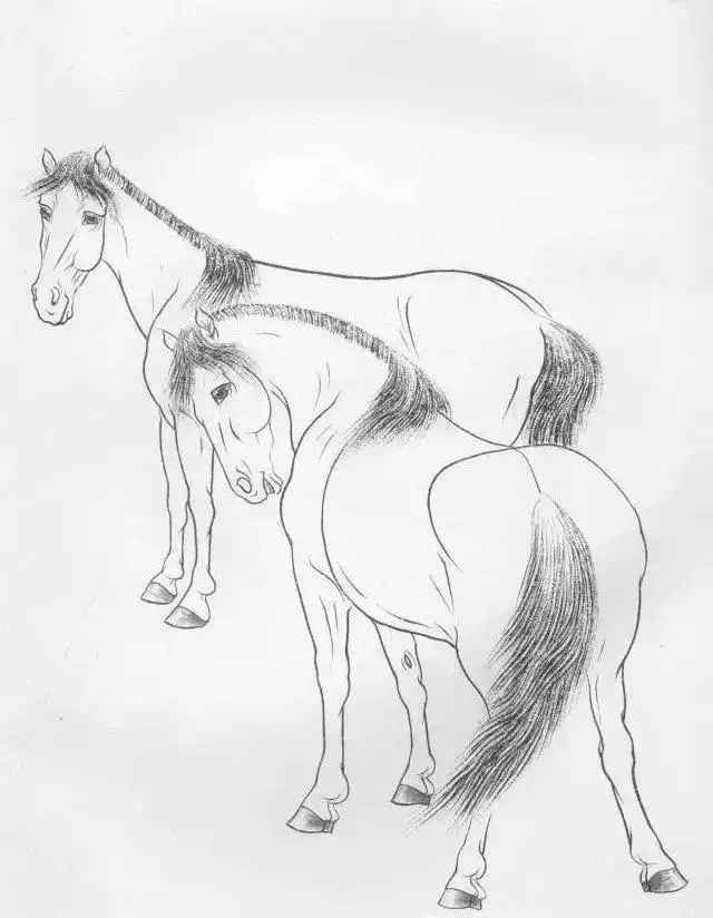 工笔马的画法及线描骏马