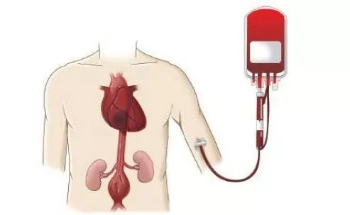 六种成分血输血操作注意事项