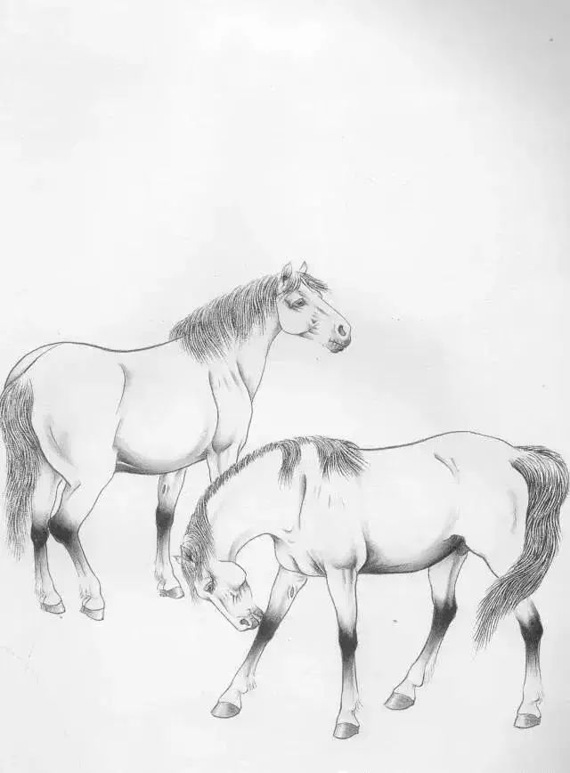 工笔马的画法及线描骏马