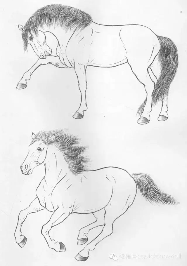工笔马的画法及线描骏马
