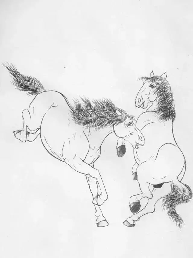 工笔马的画法及线描骏马