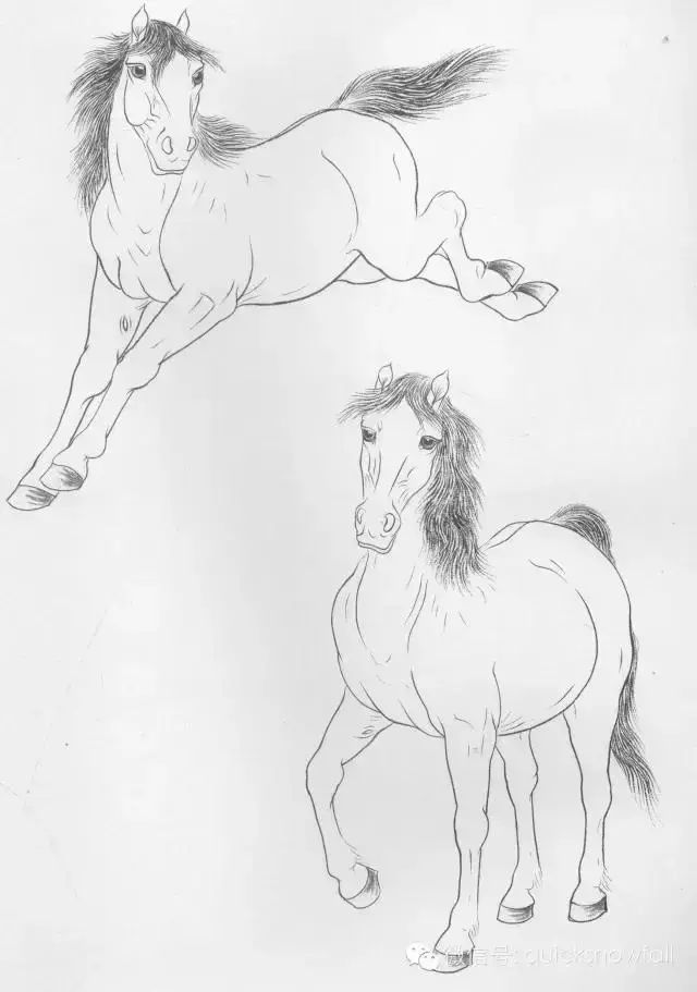 工笔马的画法及线描骏马
