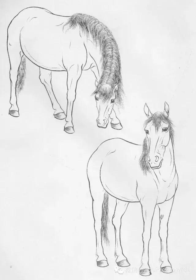 工笔马的画法及线描骏马