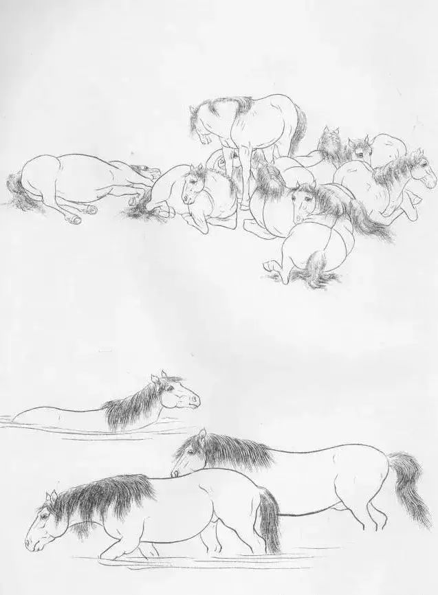 工笔马的画法及线描骏马