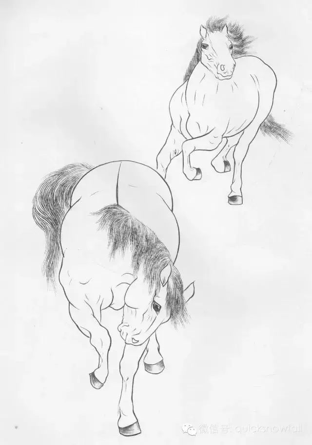 工笔马的画法及线描骏马