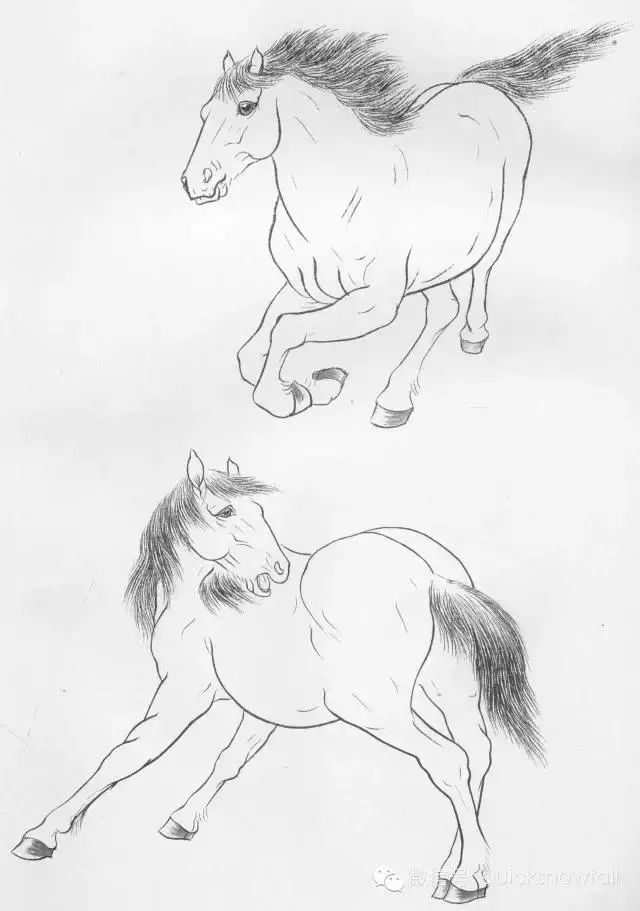 工笔马的画法及线描骏马