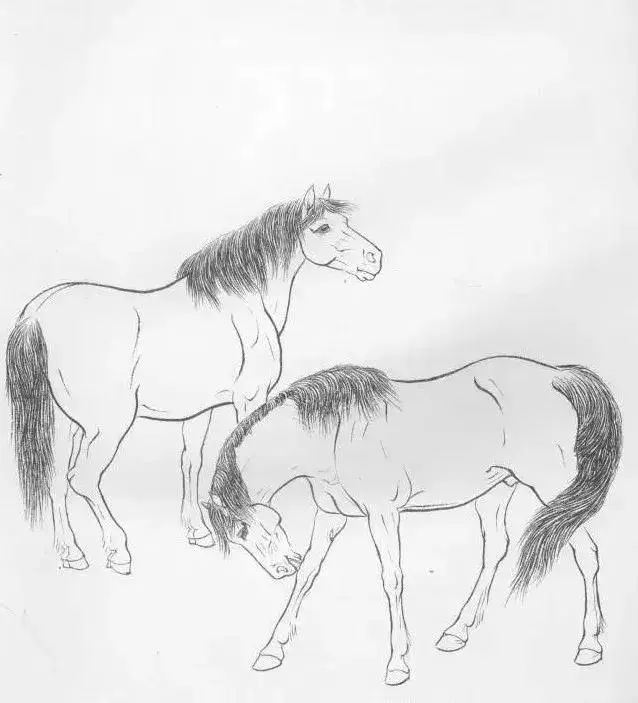 工笔马的画法及线描骏马