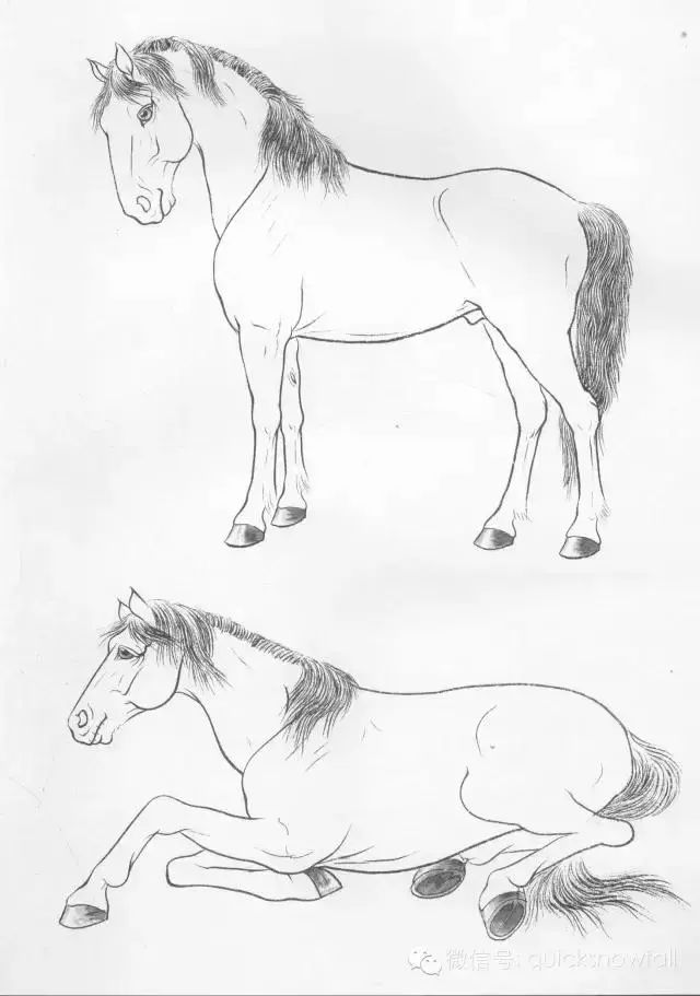工笔马的画法及线描骏马