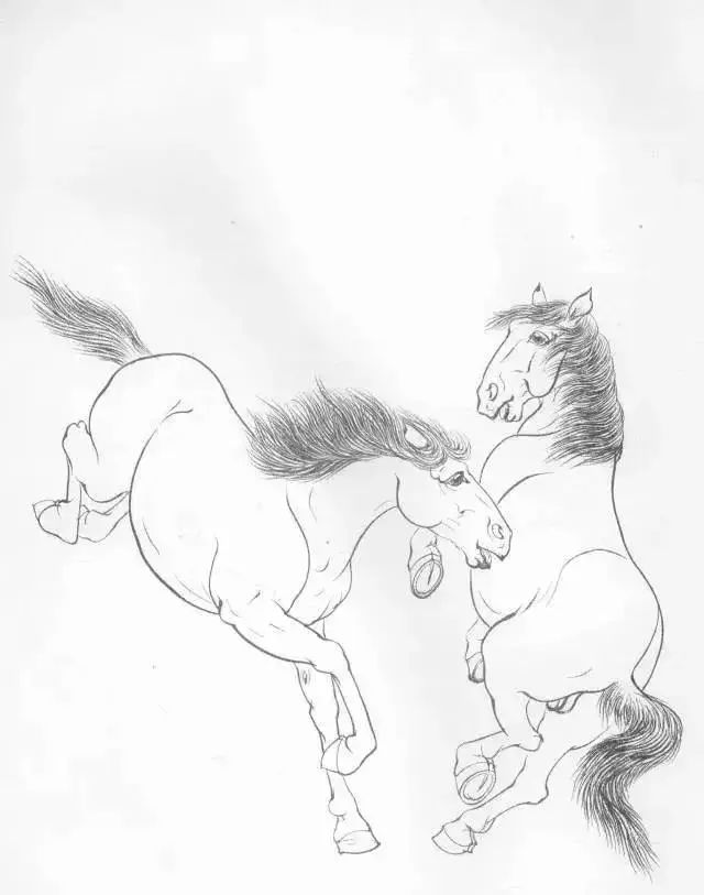 工笔马的画法及线描骏马