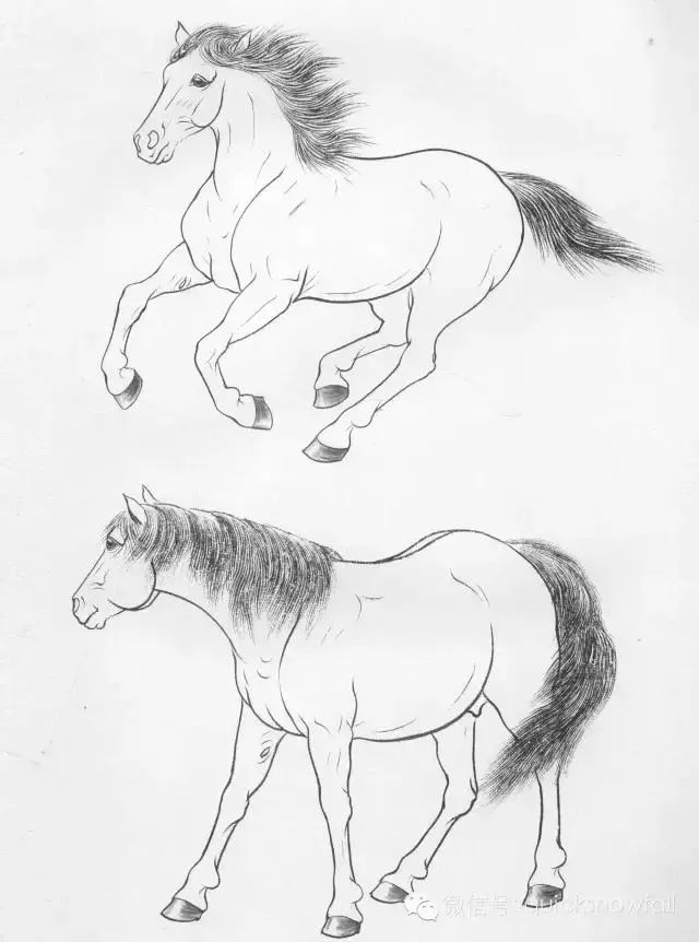 工笔马的画法及线描骏马