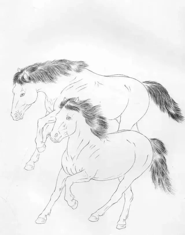 工笔马的画法及线描骏马