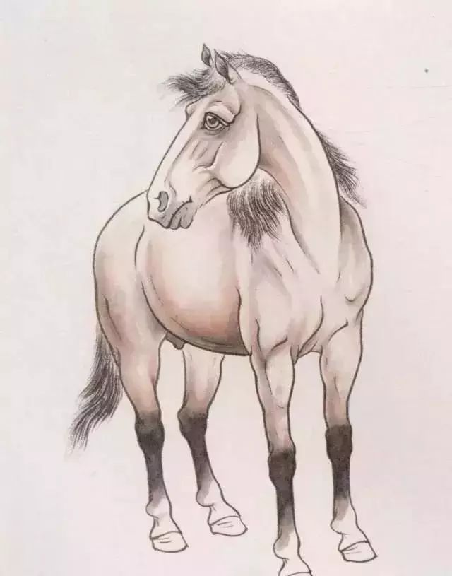 工笔马的画法及线描骏马