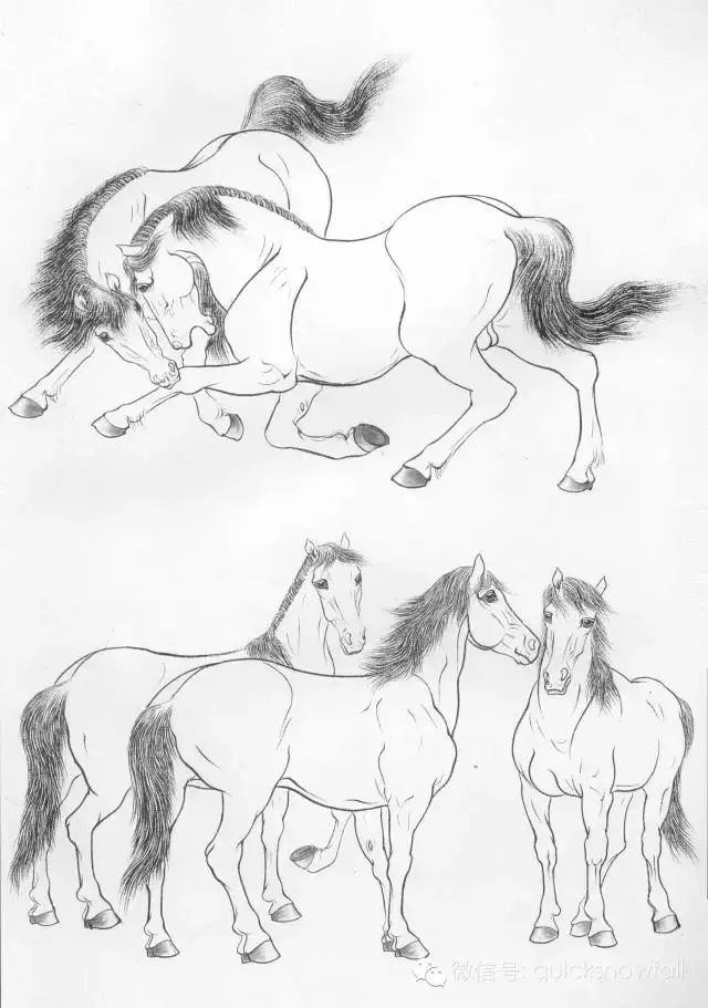 工笔马的画法及线描骏马