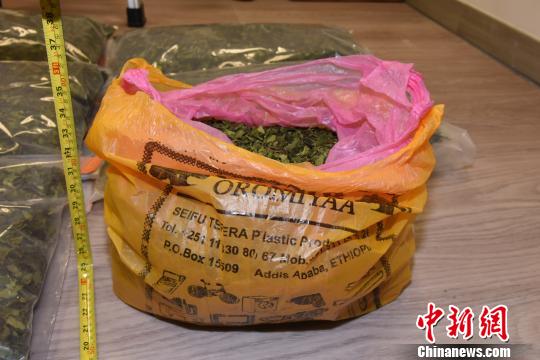 澳门司法警察局从邮包搜获出的“恰特茶”毒品。澳门司法警察局供图