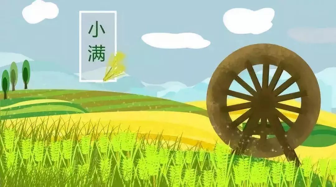 小满v鸡蛋|多食鸡蛋宜清热少用生姜易伤阴熟蛋清苦菜蛋黄分离图片