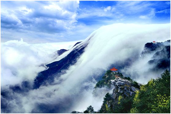 采茶、品茗、论道 | 白鹿学社·六一游学活动