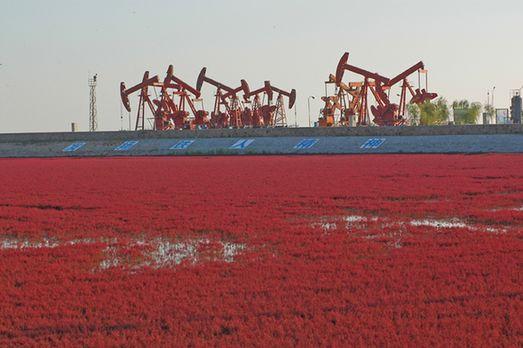 中国石油辽河油田向海外进行市场化改革