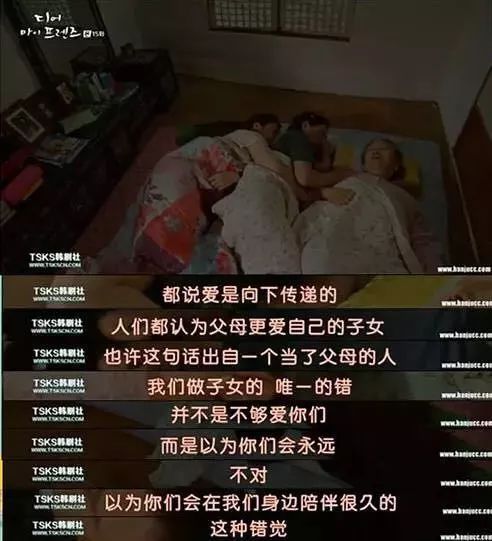 80ABCCB797ABA9E71056028DC2194A40AFB6B2AA_size43_w492_h541.jpeg