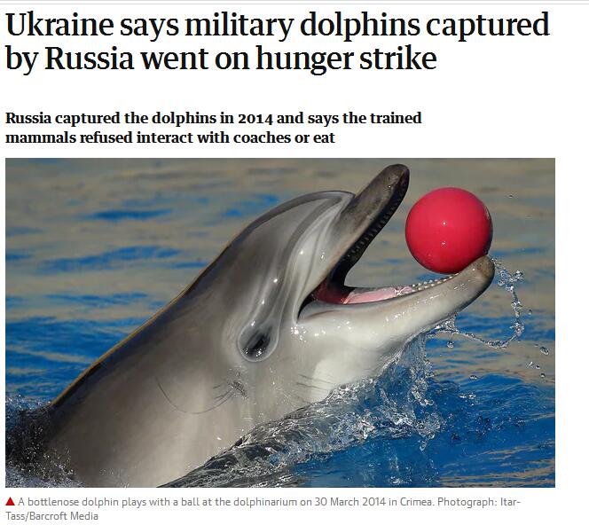 乌克兰间谍海豚被俄罗斯抓走，集体绝食而死？