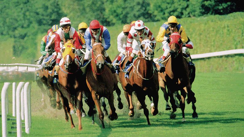 美国赌神靠算法中巨奖后玩消失,跑去中国山区