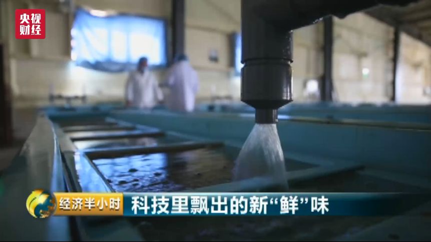 万万没想到!中国市场上三分之一的三文鱼都被