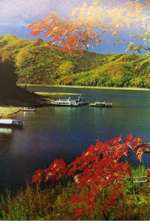 1999年省长公开电话正式开通百姓说这是连心