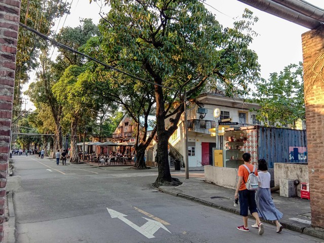 实拍出真知，Y83的拍照表现，刷新中端价位新表现 