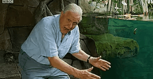 搞笑gif:小姨子在姐夫家里穿成这样,还怪姐夫变态!天理何在