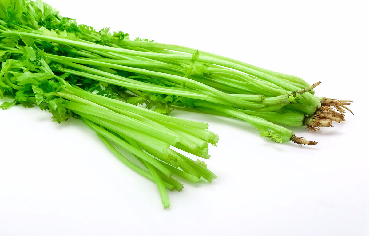 芹菜-中国蔬菜作物-图片