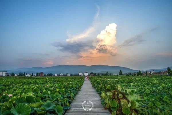 江西莲花县人口_江西莲花县地图