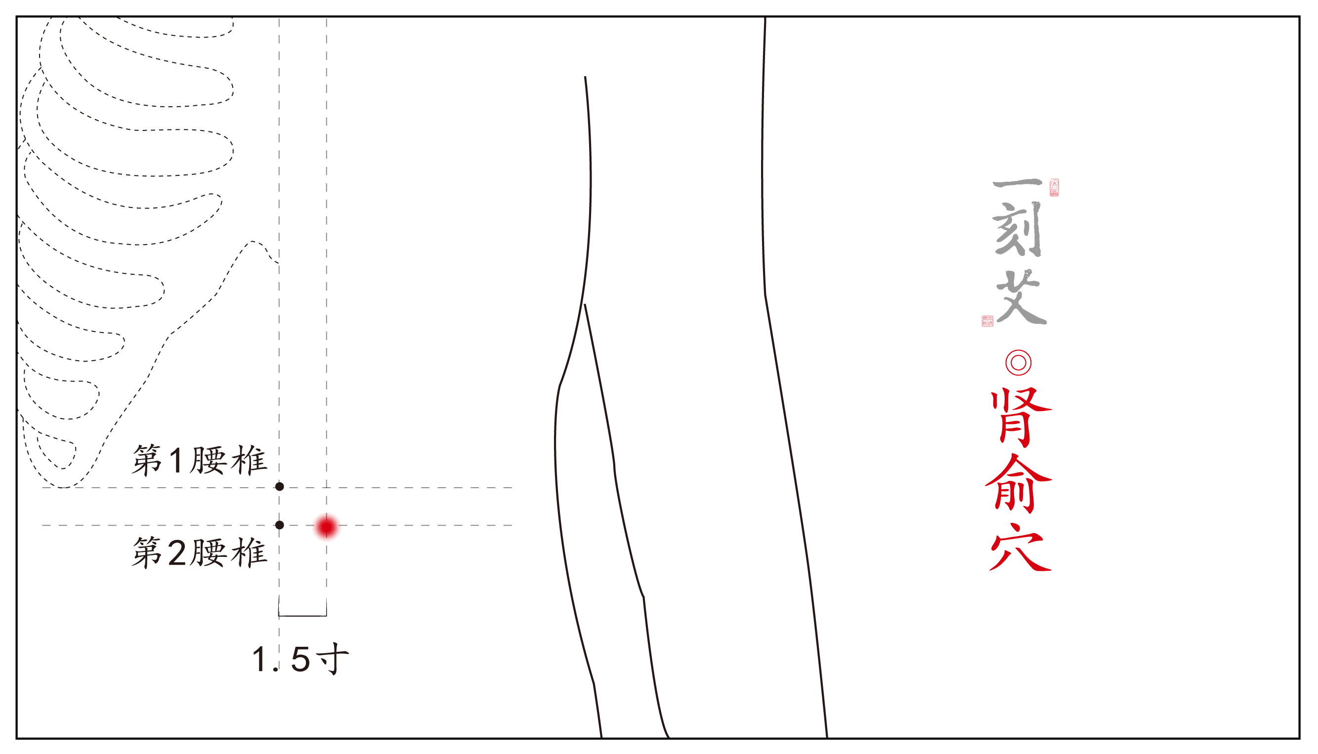 对症下灸丨崩漏的艾灸疗法