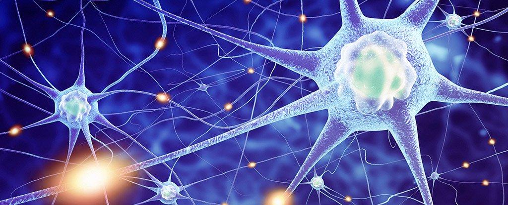 艾滋病毒还有更多危害?科学家:可能长期潜伏在